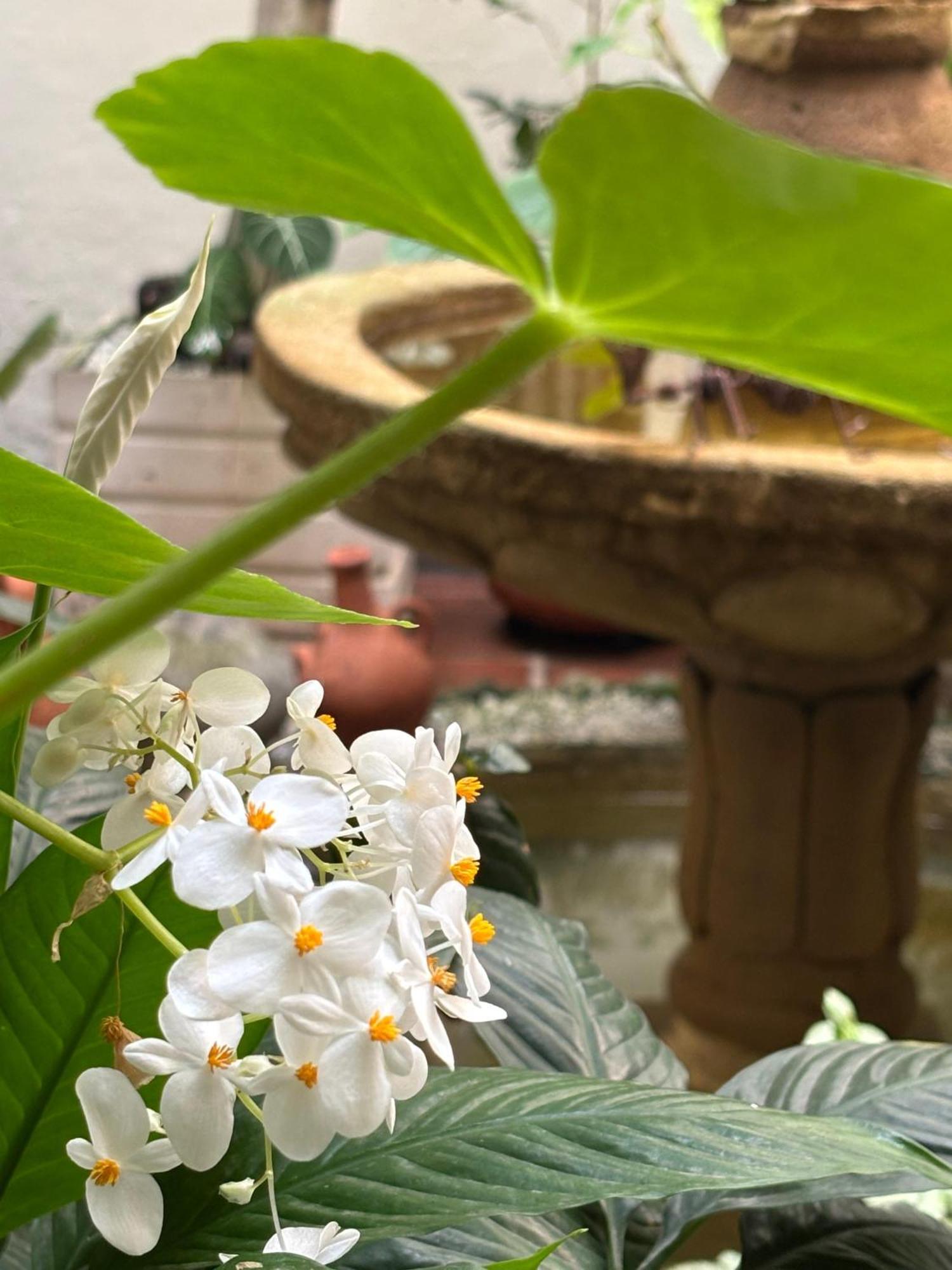 Terraza De San Antonio Hotel กาลี ภายนอก รูปภาพ